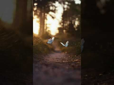 Postul cel adevărat...