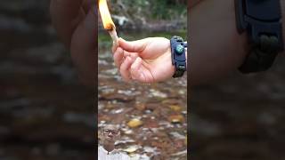 Download lagu cara mudah membuat korek kayu tahan air pakai kapas dan lilin#shortvideo#shortsvideo#shorts #short mp3