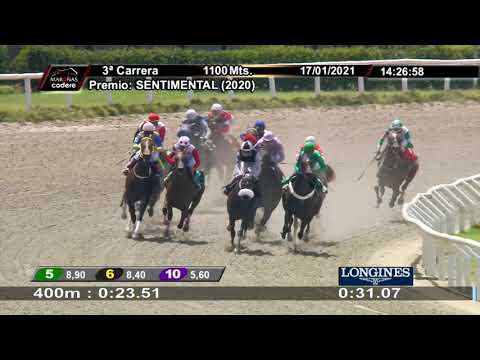 210117 c03 ISOLA D´ELBA