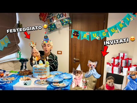 LET'S THROW A SURPRISE PARTY FOR OUR DOG AND HIS FRIENDS!! *LOTS OF GIFTS*