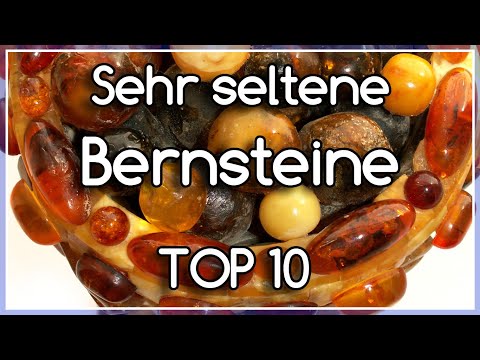 TOP 10 BERNSTEINE, die man gesehen haben sollte - ÄUßERST SELTEN & WERTVOLL☀️