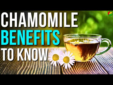 9 Benefits of Chamomile To Know! | Health Benefits Of Chamomile Tea