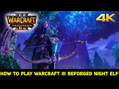 How to Play Warcraft 3 Reforged Night Elf for Beginners Guide 4K
