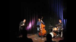 Ben Goldberg Trio - Live at Schlachthof Wels, Austria, 2011-10-05