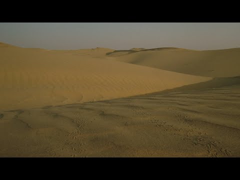 Ayush Agrawal Marwari Documentary