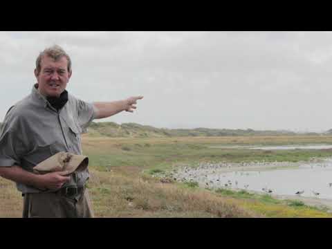 4 Birdathon: World of Birds