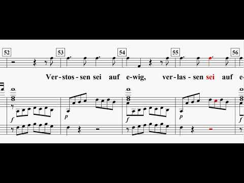 Der Holle Rache(The Magic Flute::Queen of the Night) / W.A. Mozart