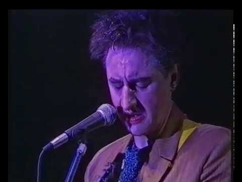 Georg Ringsgwandl live - Der Wind schreit Scheiße