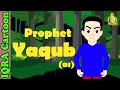 Prophet Stories YAQUB (AS) | Islamic Cartoon | Quran Stories | Islamic Children Kids Videos - Ep 11