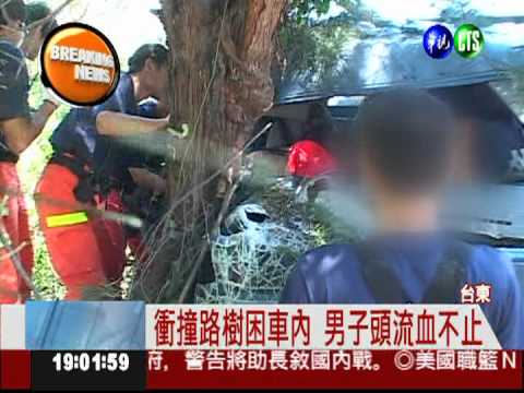 閃避對向來車! 貨車失控撞路樹