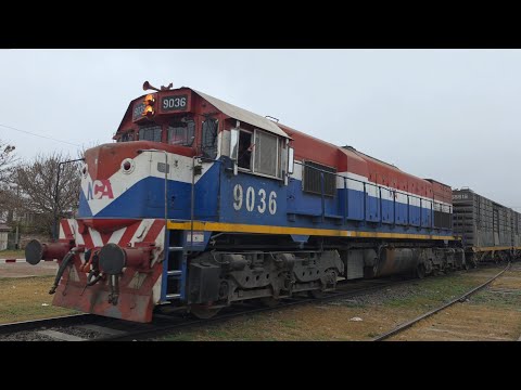 [4K] Tren cargado de NCA con la EMD GT-22CW 9036 pasando por Marcos Juárez!!!!!!