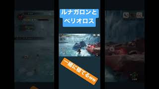 ルナガロンとベリオロスの愛を見てしまったハンター