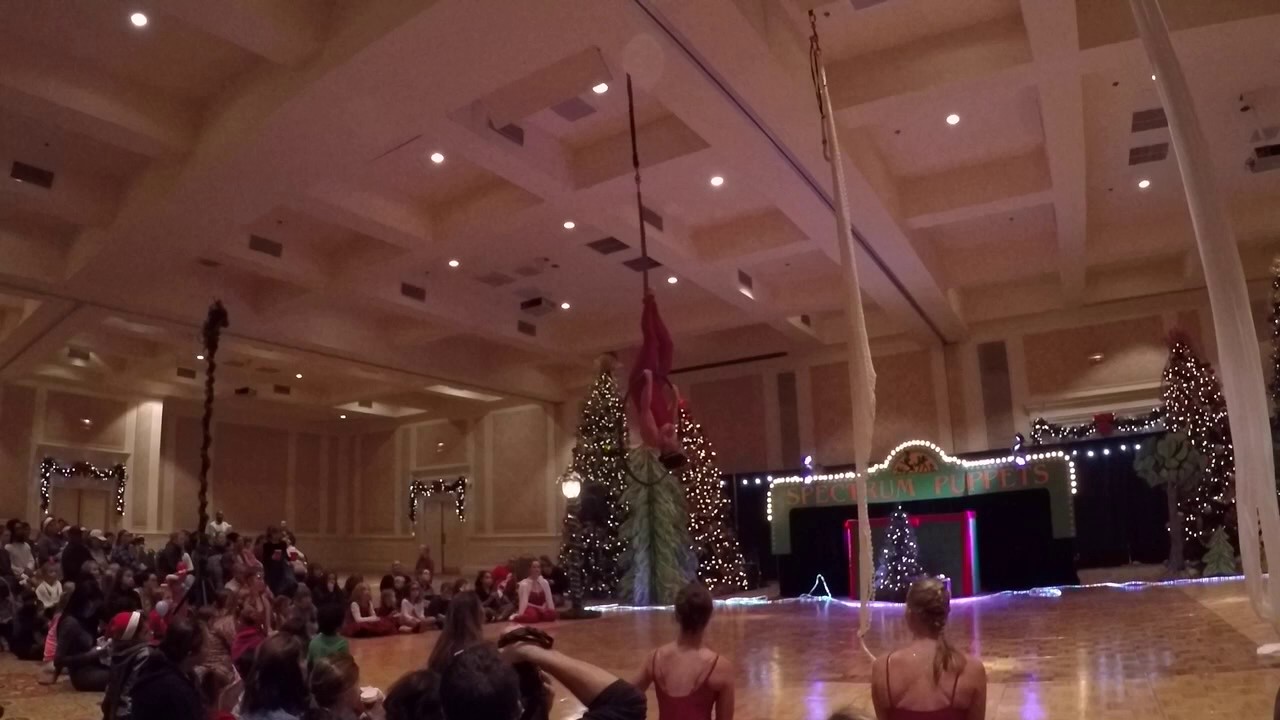 Promotional video thumbnail 3 for AIRotique aerial performance