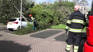 [FOTO'S & VIDEO] Boom op auto in Wilnis