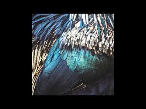 Emika Elena × Bmbmnd - Eryl (Yuka Remix) [HML010]