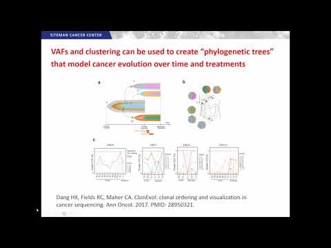 Clonal Evolution of Colon Cancer