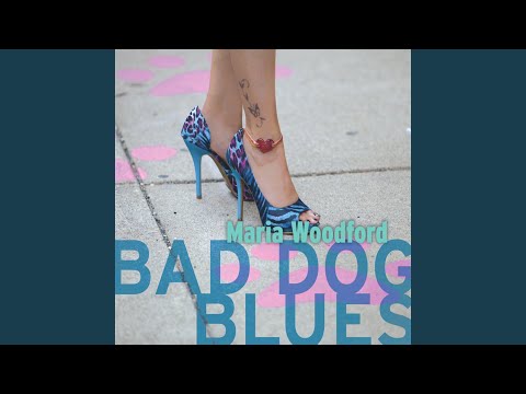 Bad Dog Blues
