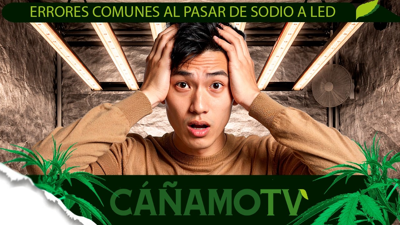 LOS ERRORES MÁS COMUNES AL PASAR DEL SODIO AL LED 💡 Mars Hydro