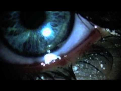 Blue Eyes Crying In The Rain | Willie Nelson | Saxophone Cover | Stanley Samuel | Singapore | Artist