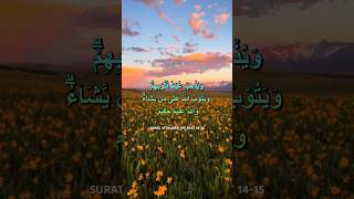 Download lagu SURAT ATTAUBAH (9) AYAT 14-15 II USTADZ MADINAH mp3