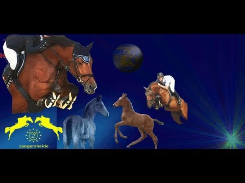 Verkaufspferde 2019. 4yo  by Latour (Darco x Malito de Reve)