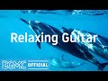 Relaxing Guitar: Easy Listening Instrumental Music with Beautiful Ocean Scenery - リラックス音楽