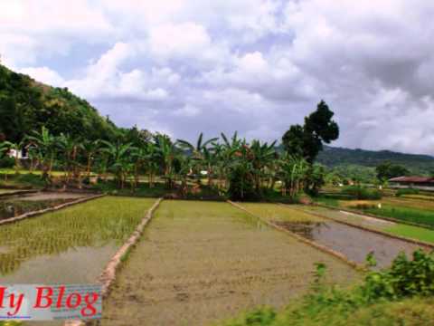 BZ Group - Sing wis yo ben wis