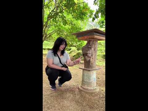 不一样品种的银蜂蜜