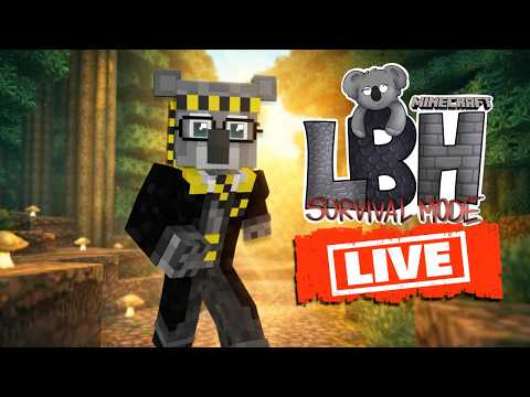 Zurück aus dem Schwarzwald! 🥰🙌 | Let's Build Hogwarts LIVE