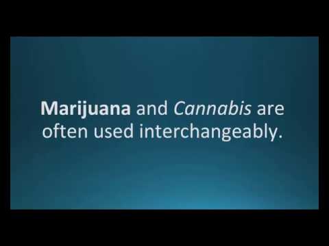 How to pronounce marijuana (Pharmcabulary for Memorizing Pharmacology Flashcard)