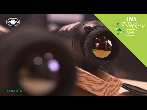 IWA Live 2019 - Night Pearl (EN)