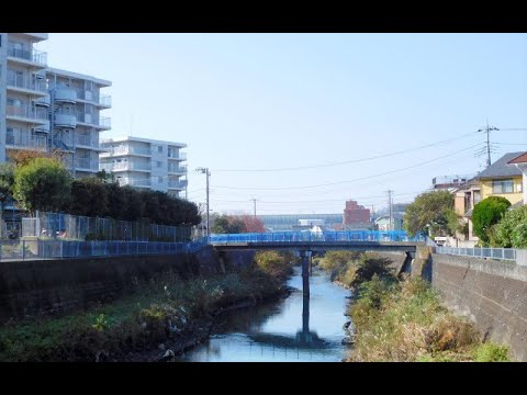 動画サムネイル