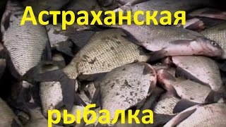 Диалоги о рыбалке рыбалка в астрахани