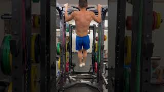 Re: [問題] 引體向上討鞭/課表請教