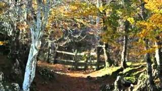 Izarren hautsa-Mikel Laboa