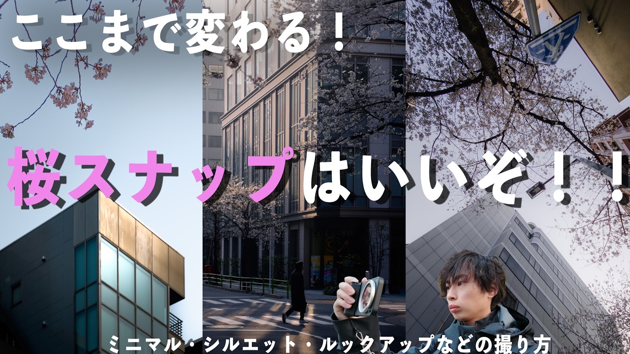 桜撮影、最強のカメラは『今、ポケットに入っているやつ』だった。【Xiaomi 17 Ultra | LEICA LEITZ PHONE powered by Xiaomi】