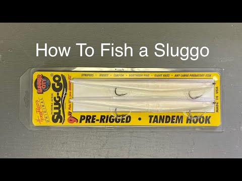 How To Fish a Rigged Sluggo