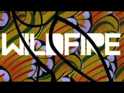 (LYRICS) Wildfire (Remix)- SBTRKT ft. Little Dragon & Drake