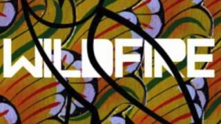 (LYRICS) Wildfire (Remix)- SBTRKT ft. Little Dragon &amp; Drake