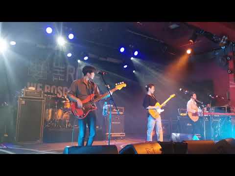 The Rose 더로즈 'She's In The Rain' We Rose You Live Berlin