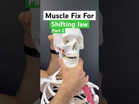 (Part 2 of 2) Does your jaw shift, click, or ache? Try these 3 quick muscle fixes! #jaw #tmj