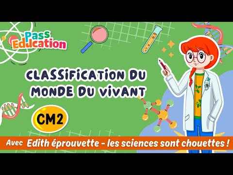 Classification du vivant – Cm2 – Edith Eprouvette: Leçon, Exercices, Évaluation