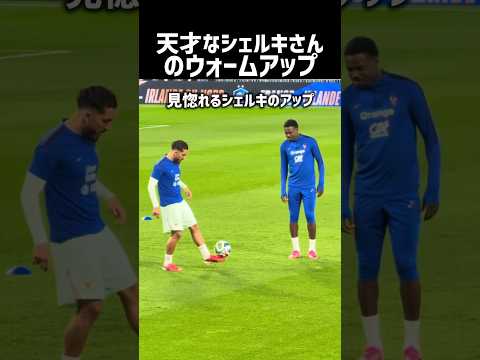 見てて飽きないシェルキのアップ