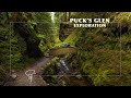 Puck's Glen | A Gorge In A Scottish Woodland