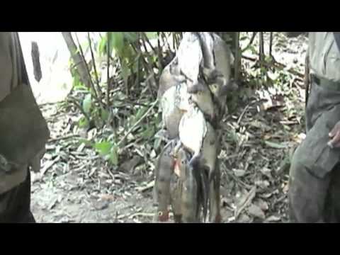 Scott Wallace Documents Amazons Indigenous Tribes