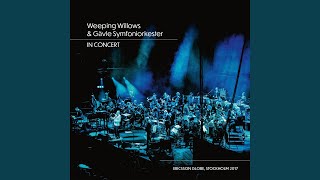 Echoes of Your Breath (Live)