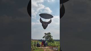 Download lagu LAYANGAN BANTENG π₯ #layangan #sawah #desa #terbang mp3 Download lagu LAYANGAN BANTENG π₯ #layangan #sawah #desa #terbang mp3