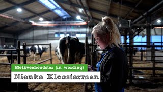 Testimonial video | FAJK
