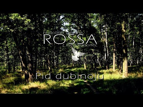 ROSSA 2 - Pid dubinoju