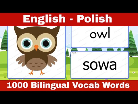 📌 Learn English Polish Vocabulary with Pictures for Beginners : Angielski Polski Słownik